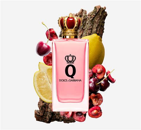 q by dolce gabbana|dolce and gabbana perfume price.